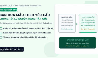 Sỉ Số Lượng Nhỏ – Mix Đa Dạng Mẫu – Không Cần Ôm Cont